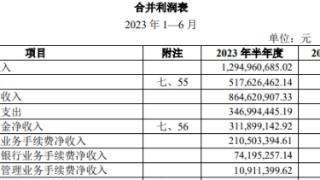 南京证券H1净利增26.7% 拟定增募不超50亿2020年募44亿