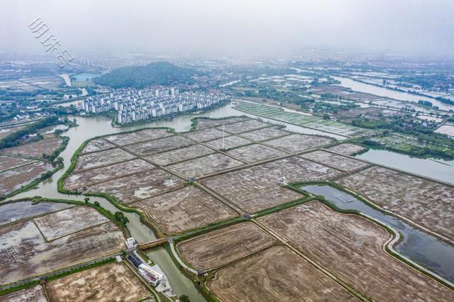 浙江湖州：积极推进农田万亩方连片整治