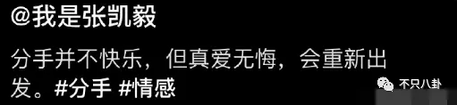 他们当初爱得有多高调，现在撕得就有多难看？