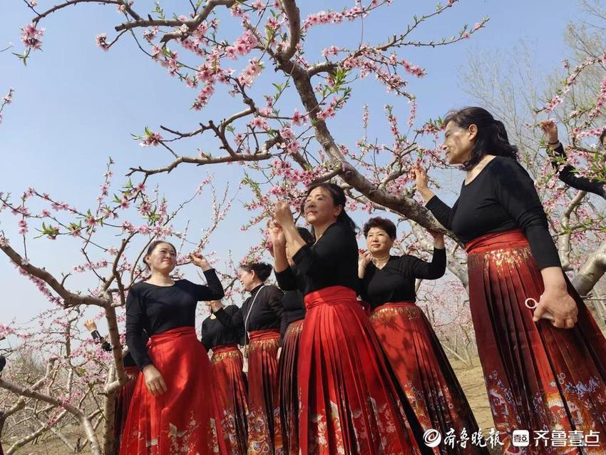 曹县“乡村好时节·乐动生活”主题年暨梨花节活动在青堌集镇启动