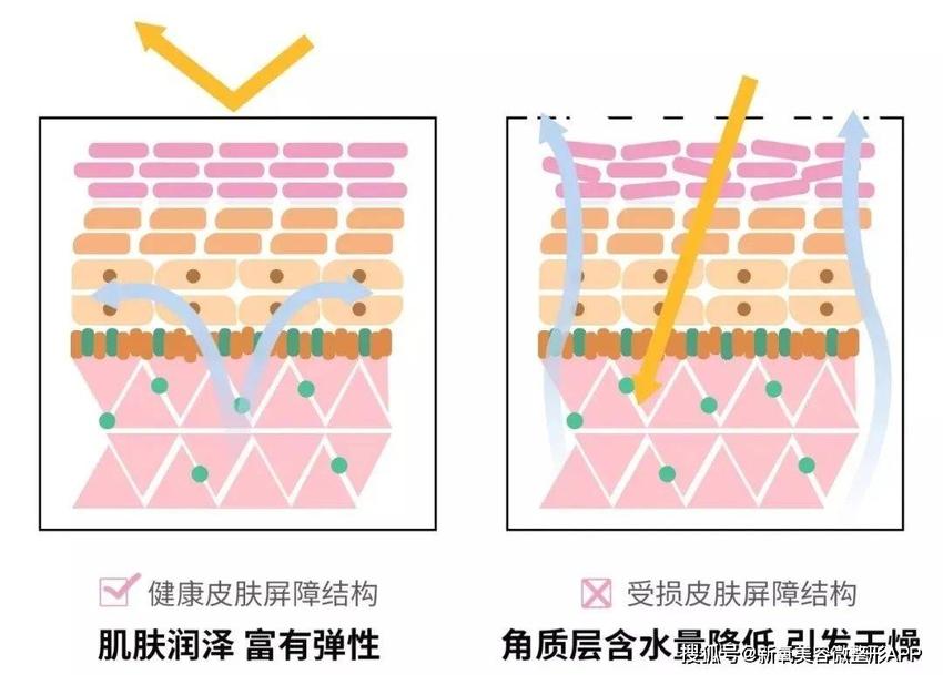 她才是白月光美人的天花板吧？