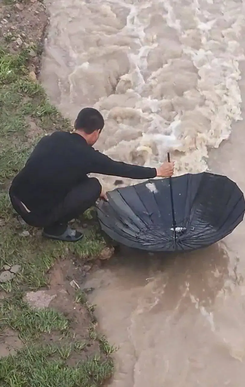 男子把雨伞放进河里，随后发生的一幕，惊呆了众人