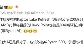 Hawk Point 有望再战一年：AMD 被曝计划明年推出锐龙 200 处理器