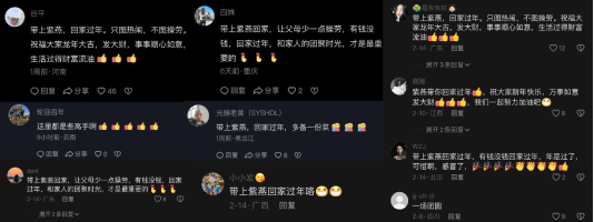 新春营销怎么做？看抖音×紫燕百味鸡如何以“放手过年”+年味文化出圈破局