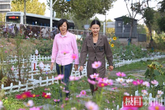 武汉洪山张家湾街道：65个格子被居民认领打理