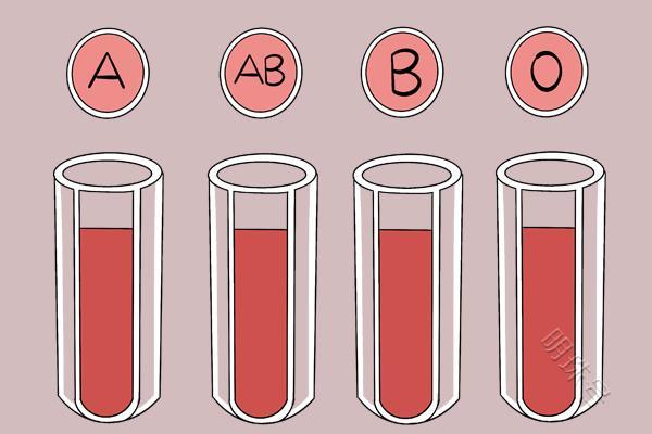 O型血的人更容易长寿吗？一文揭开答案