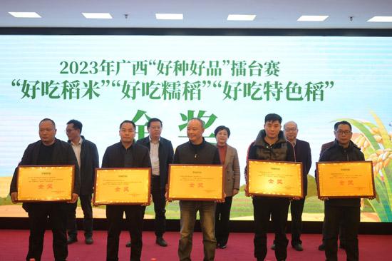 2023年广西“好种好品”擂台赛“好吃稻米”鉴品推介会在南宁举行