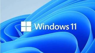 微软免费Windows 11虚拟机 支持C#开发