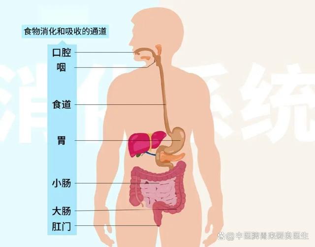 奥美拉唑服用多年不管用，治疗方向错了，不妨看看中医