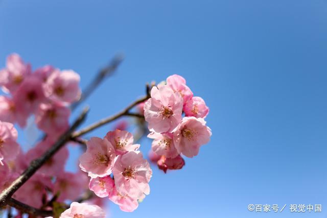 生活中，有三种男人，嫁了注定会苦一辈子