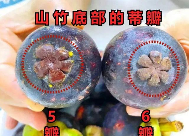 买山竹时，捏软捏硬都不对！老果农：牢记3点，好山竹一挑一个准