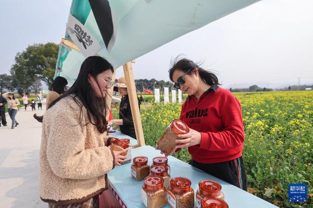 浙江诸暨200亩油菜花盛开助力乡村振兴