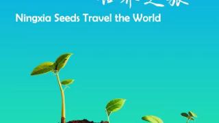【宁夏高质量发展4】宁夏小种子的世界之旅