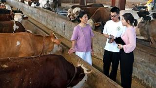 中央民族大学大学生暑期社会实践团走进淮南市部分民族乡开展走访调研