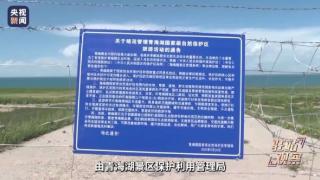 青海湖设环湖围栏遭游客质疑，记者实地调查→