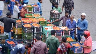 印度爆发“西红柿之乱”：西红柿价比汽油贵，7天两农民因西红柿被杀