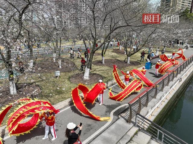 一袭汉服配春光，武汉西北湖畔秒变沉浸式古风剧场