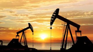 媒体：拜登将限制阿拉斯加大规模油井钻探项目
