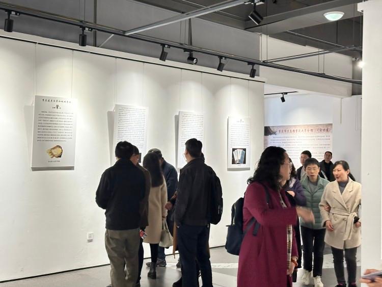 《重庆历史文化系列主题展览》开展 市民可预约前往重大观看