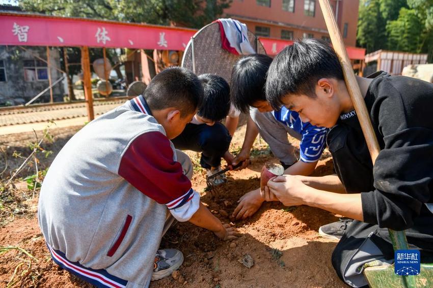 湖北黄梅：劳动教育助力学生健康成长