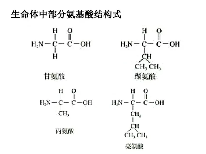 人类都是外星人的亲戚？两位科学家认为：生命可能是从地球外来的