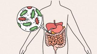 肠道也会闹脾气，最怕这4种伤害！腹痛、腹泻、腹胀都与它有关