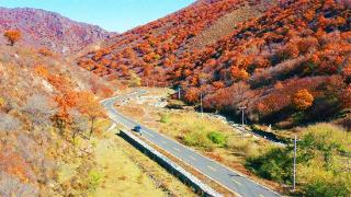 赤峰市松山区：擦亮生态底色 推动绿色发展