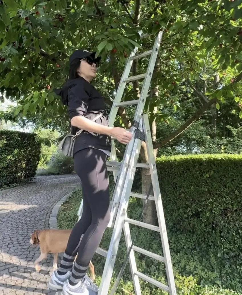 刘嘉玲在法国乡村生活，摘樱桃烤面包生活惬意，每日素颜返璞归真