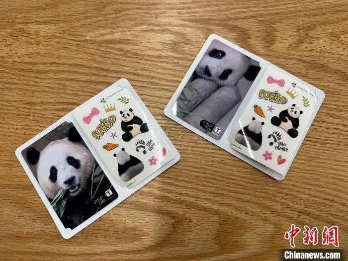 旅韩大熊猫“福宝”临别在即 “宝家族”联名产品热销