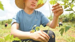 “努力尝试，种好这块试验田”（干部状态新观察·选调生在基层）