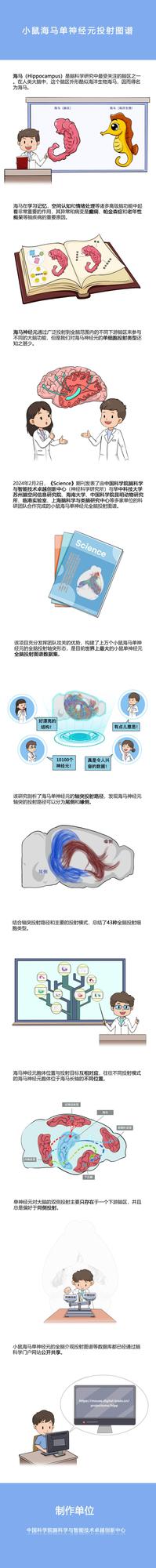 我国科学家建立世界最大的单神经元全脑投射图谱数据集