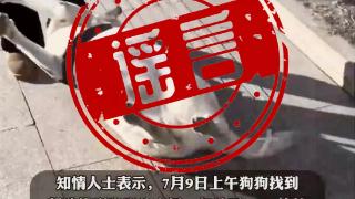 郑州通报“千万寻狗”：消息系杜撰 发布者被行拘15日