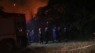 希腊多地野火肆虐，欧洲多国消防员前往支援