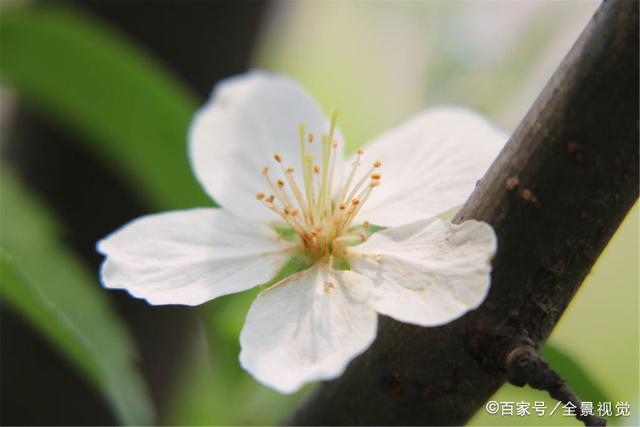 一个女人有没有福气，从吃饭就可以看出来