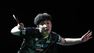 世乒赛:日本选手张本智和晋级八强