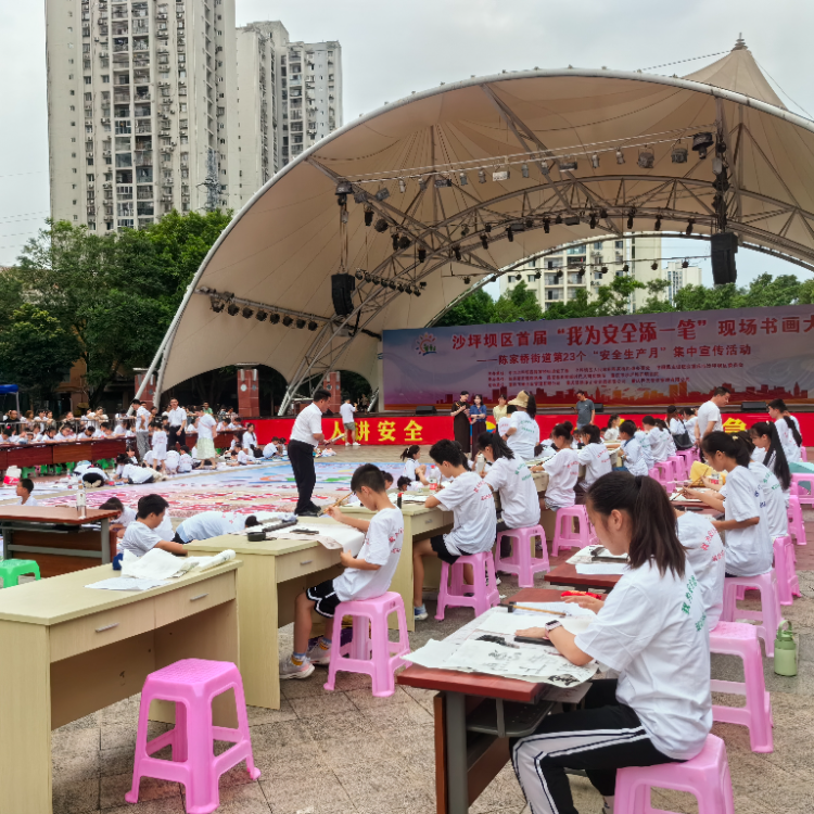 沙坪坝区陈家桥街道：百人绘安全新景