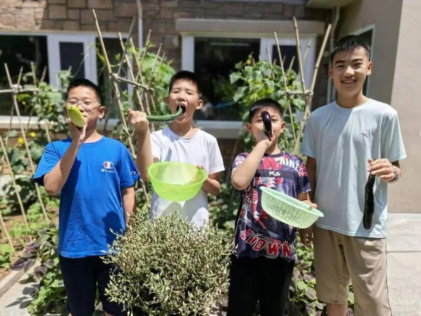 解决暑期“看护难” ，济南高新区雅居园小学学生成长共同体成立