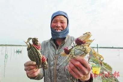 修复湿地　收复鱼贝虾蟹失地