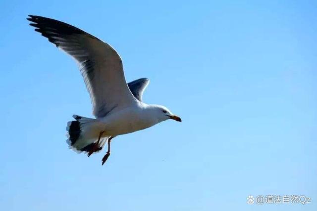 吃苦耐劳能吃亏，是一种人生态度；把阅读，静思当成一种习惯