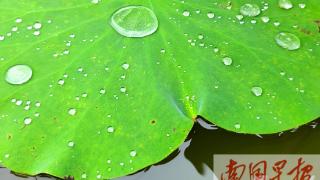 高温、暴雨、大风……广西8月可能还有台风要来