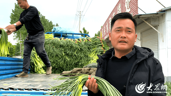 兰陵蒜薹入库记②：蒜薹不愁卖，收购商来到田间地头