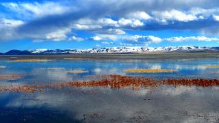 尕海湿地为何这么美？20余年生态修复路成就“青藏高原东部水塔”