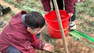 石家庄市北五女小学举行植树节主题活动