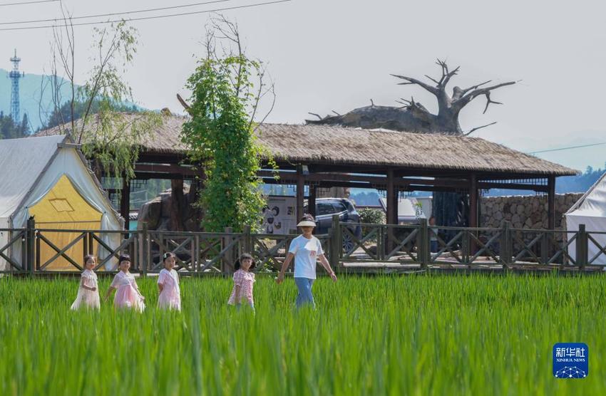 浙江临安：打造村落景区助力国家级农业产业强镇创建