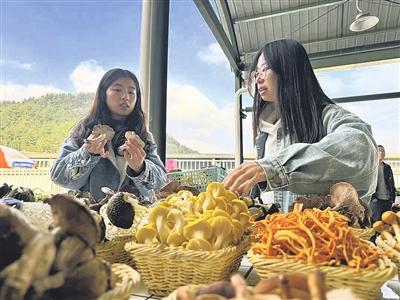 野生菌交易市场建成投用