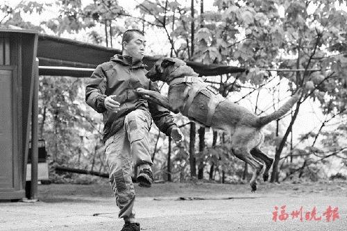 看，福州“汪汪队”立大功