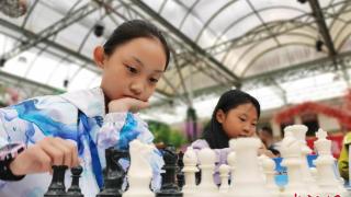 青海省象棋、围棋锦标赛及国际象棋少年个人冠军赛开赛