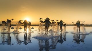 “三个三”模式跑出村级集体经济发展“加速度”