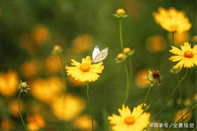 女人，男人动情后会给你这三个信号