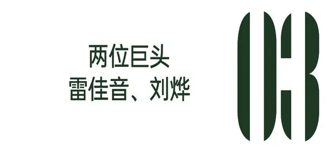 娱乐圈新玄学？头越大越幽默？